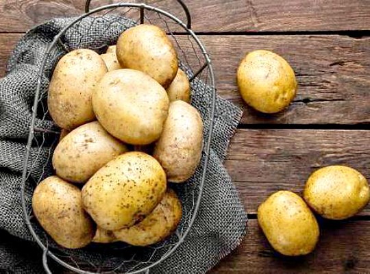 глубина посадки картофеля. схема посадки картофеля 2