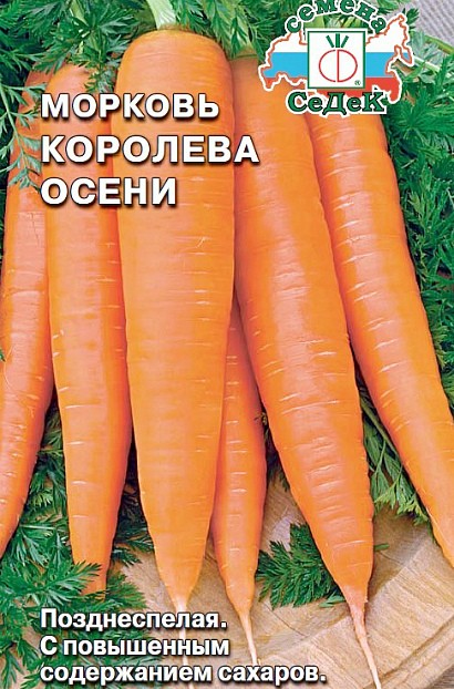 морковь выращивание и уход. лучшие сорта моркови сорт королева осени