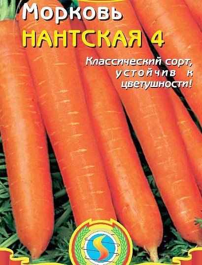 морковь выращивание и уход. лучшие сорта моркови сорт нантская 4