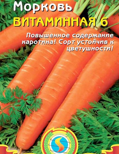 морковь выращивание и уход. лучшие сорта моркови сорт витаминная 6