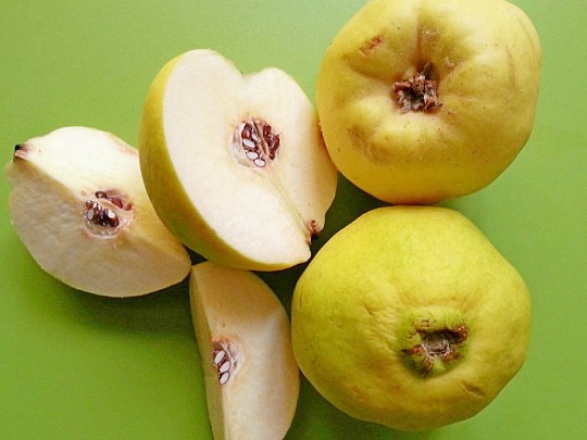 варенье из айвы, рецепты на зиму 1