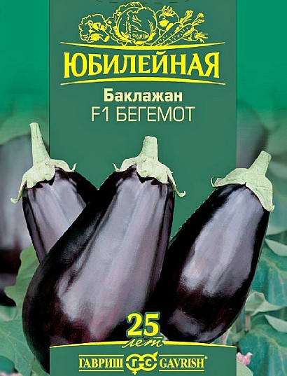 лучшие сорта баклажанов. выращивание сорт бегемот f1