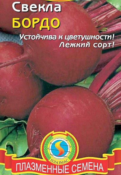лучшие сорта свеклы для выращивания сорт бордо