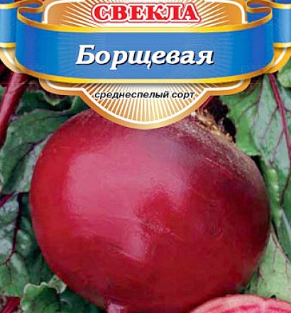 лучшие сорта свеклы для выращивания сорт борщевая