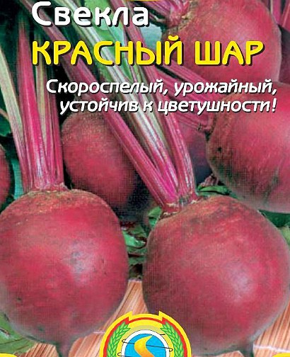 лучшие сорта свеклы для выращивания сорт красный шар