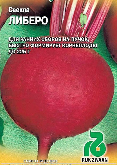лучшие сорта свеклы для выращивания сорт либеро