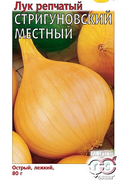 лук репчатый - выращивание и хранение. когда убирать репчатый лук сорт стригуновский