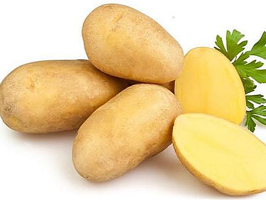 лучшие сорта картошки для выращивания. ранние сорта картофель желтый