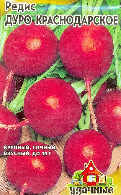 лучшие сорта редиса для открытого грунта и теплиц с фото и описанием сорт дуро краснодарское