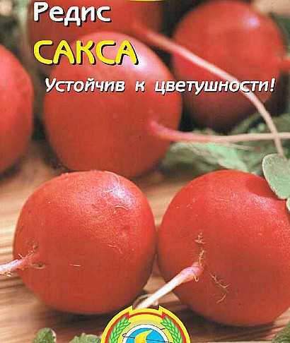 лучшие сорта редиса для открытого грунта и теплиц с фото и описанием сорт сакса