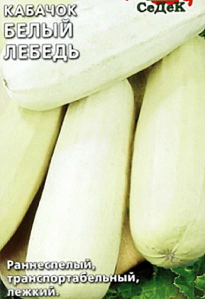 посадка и выращивание кабачков в открытом грунте сорт белый лебедь