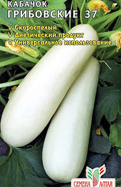посадка и выращивание кабачков в открытом грунте сорт грибовские 37