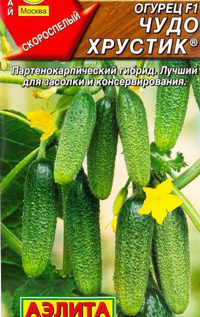 самые урожайные сорта огурцов для открытого грунта сорт чудо хрустик
