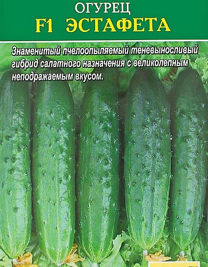 самые урожайные сорта огурцов для открытого грунта сорт эстафета