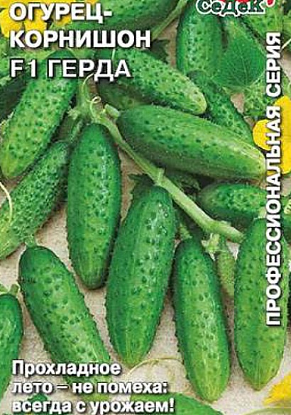 самые урожайные сорта огурцов для открытого грунта сорт герда