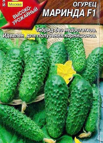 самые урожайные сорта огурцов для открытого грунта сорт маринда