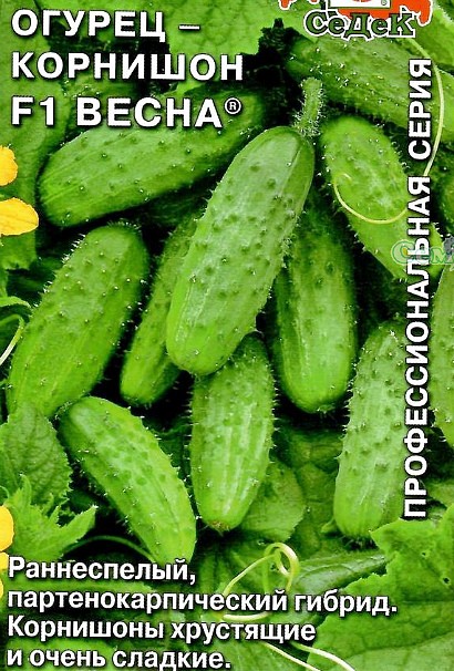 самые урожайные сорта огурцов для открытого грунта сорт весна