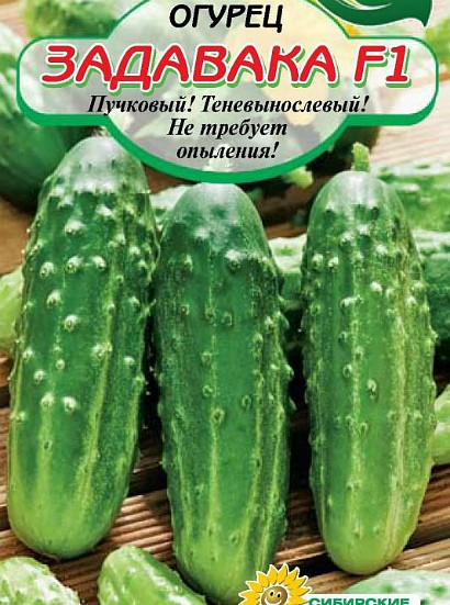 самые урожайные сорта огурцов для открытого грунта сорт задавака