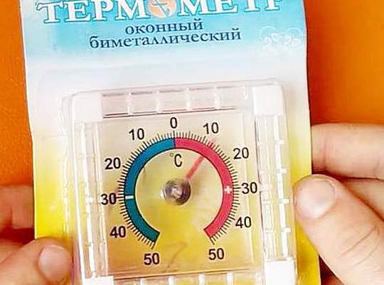 когда сажать петунию на рассаду. секреты посева семян петунии 2